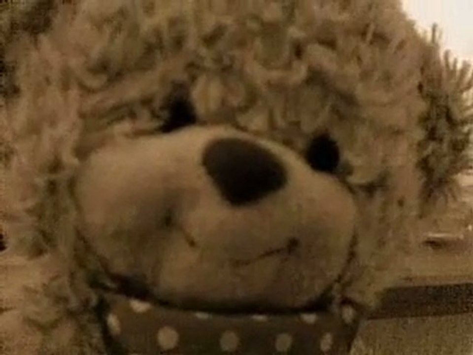 Gabi verrät Geheimnisse - Teil 6