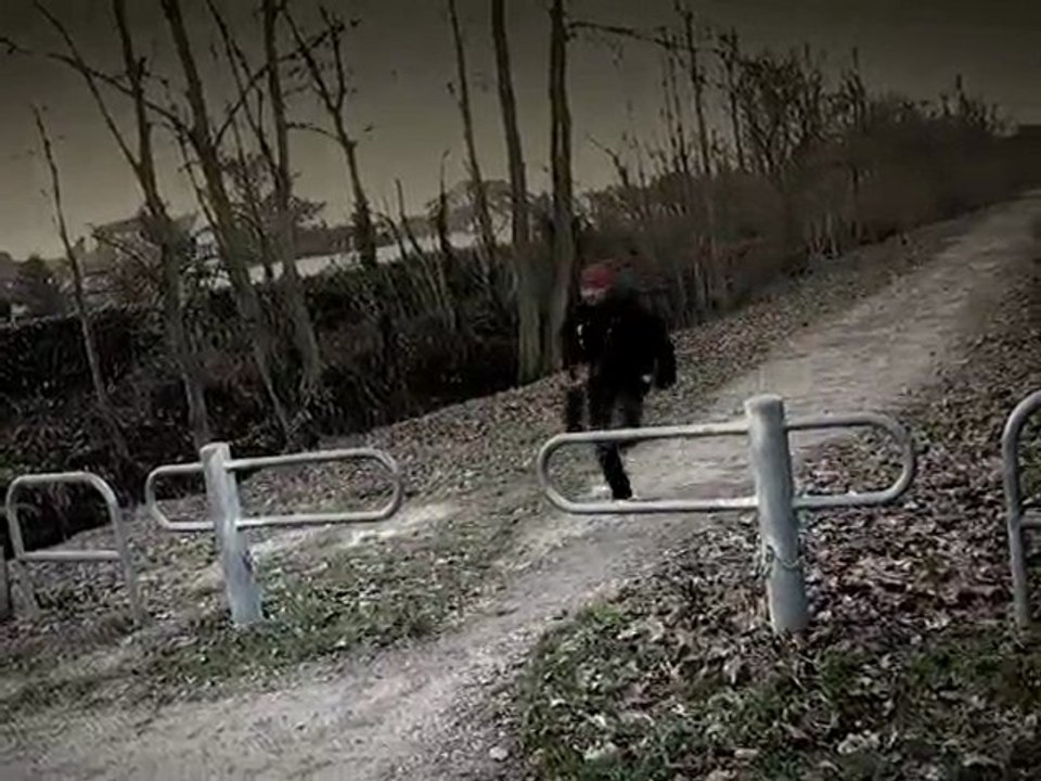 Run With The Wolves/ The Prodigy