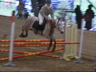 Concours montage ( Loreleï.Com )