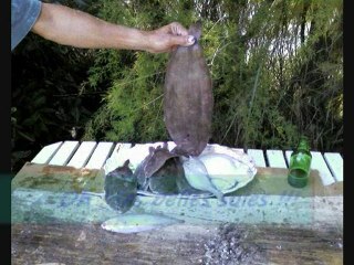 sortie mer 09/08/2007