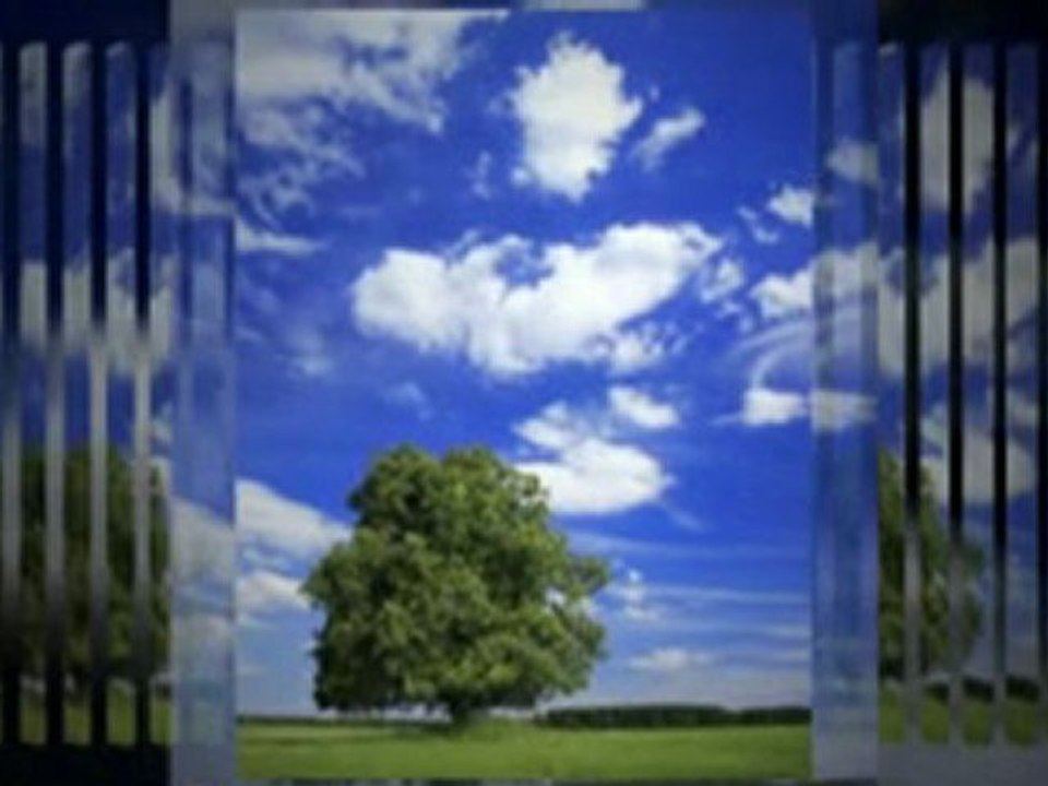 Safe Fast Weight Loss - Shocking Results Inside