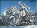 Le paradis blanc  Lozère et Haute-Loire en vidéo 4 minutes