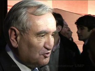 Jean-Pierre Raffarin au Conseil National de l'UMP