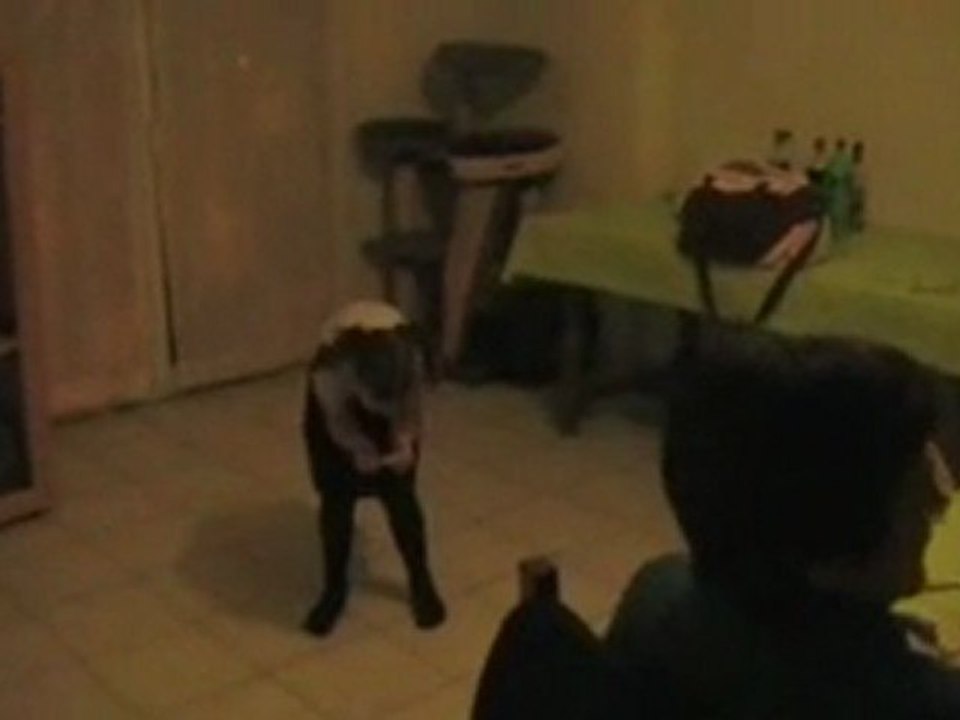 31 janvier 2010