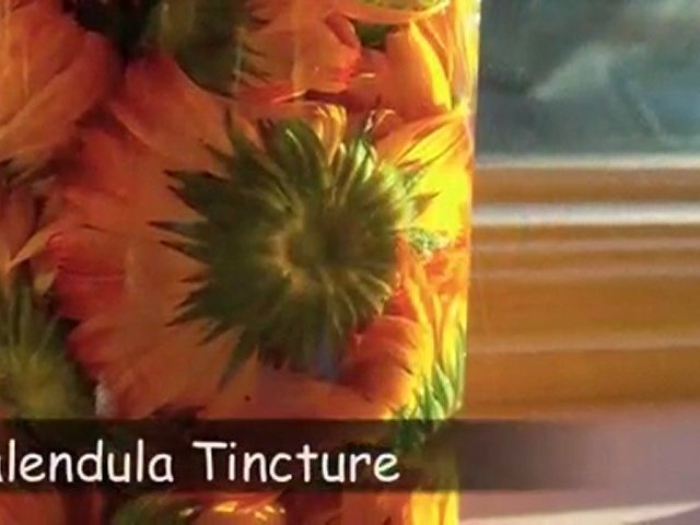 Making Herbal Remedies on HerbMentor