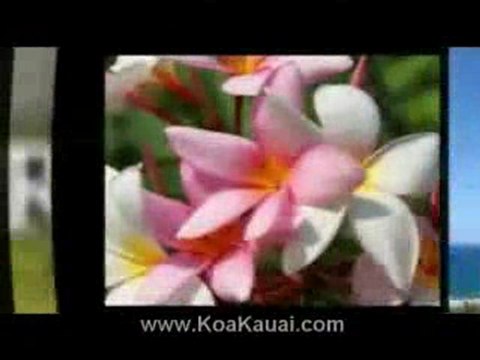 Kauai Vacation Condo Rentals