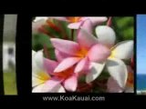 Kauai Vacation Condo Rentals