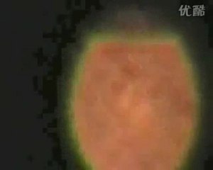 ovnis chine,janvier 2010