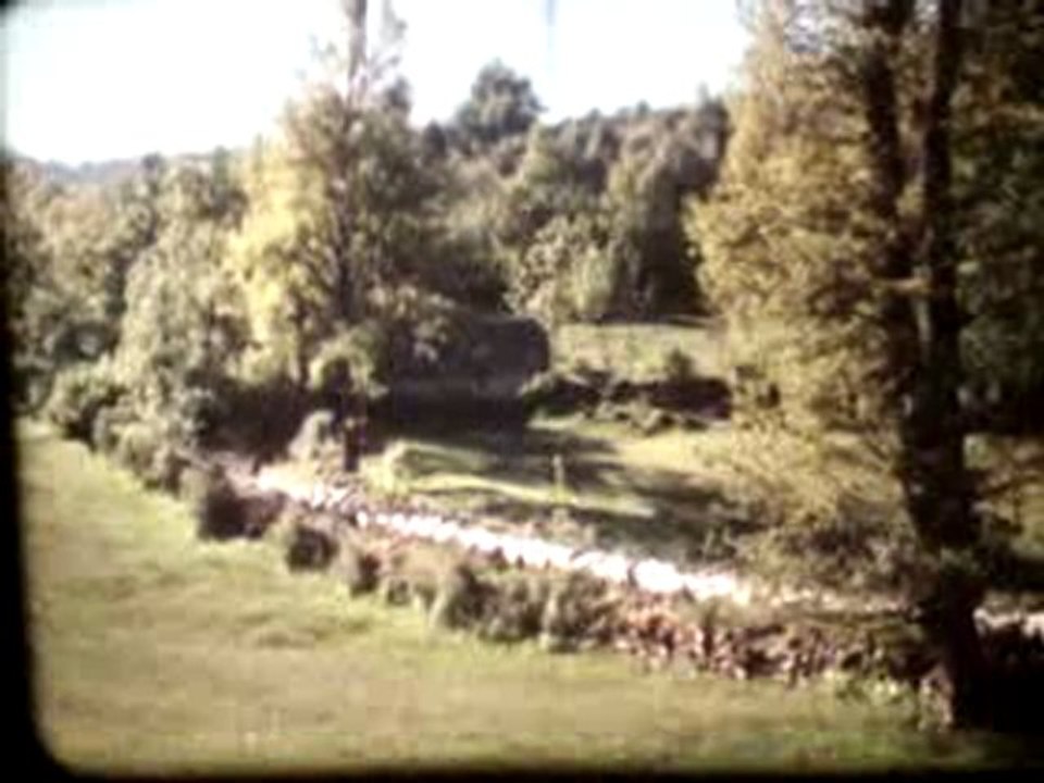 MOUTON2