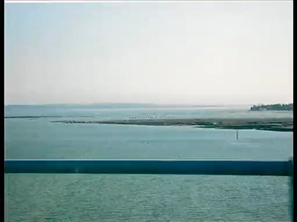 Rando des MIMOSAS .ILE d'OLERON