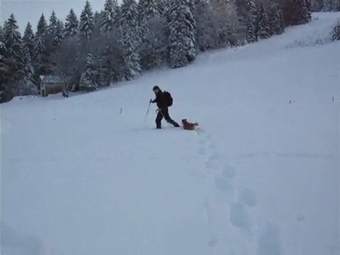 Raquette aux Rousses - Janvier 2010