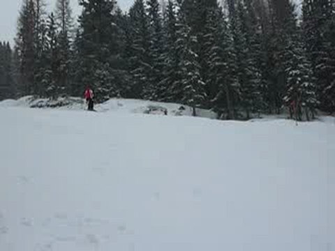 vlc-record-2010-02-01-10h40m59s-stef_P1000117.MOV-