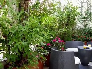 Alma Marceau Paris Luxury Apartments Rental