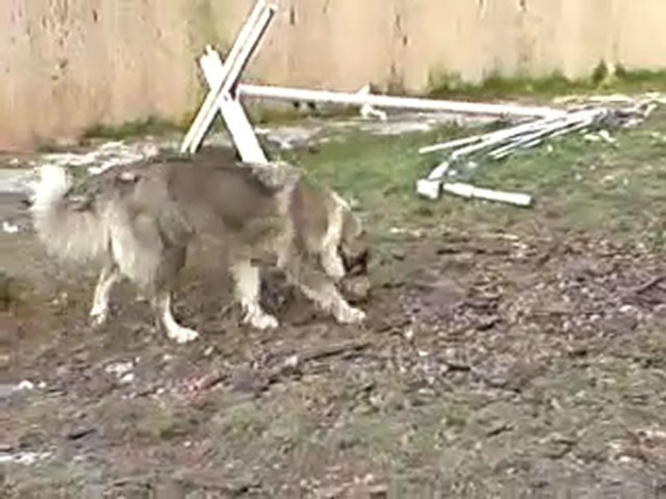 V190380_20.56