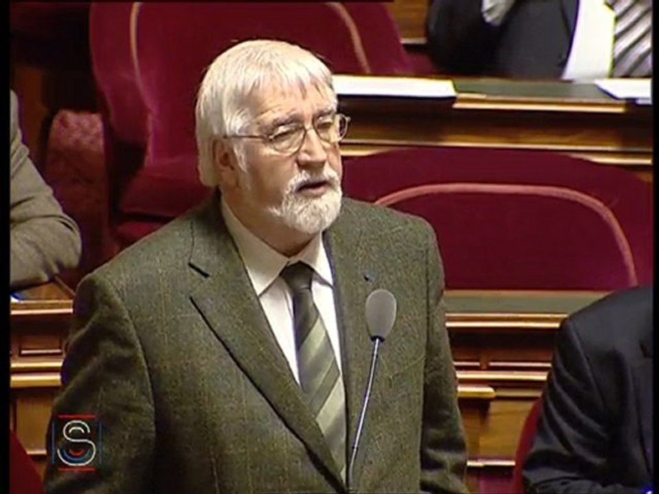 Le conseiller territorial, un OVNI ?