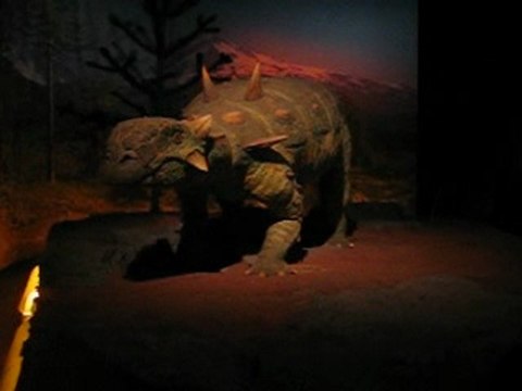 au palais des découvertes avec Amaury