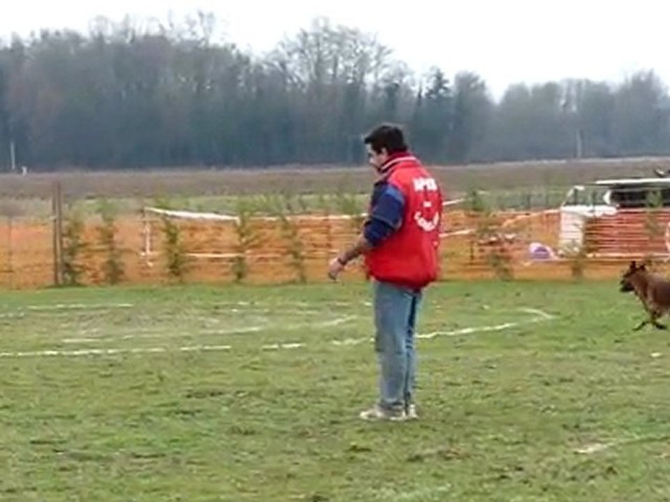 Apis rapport au vu