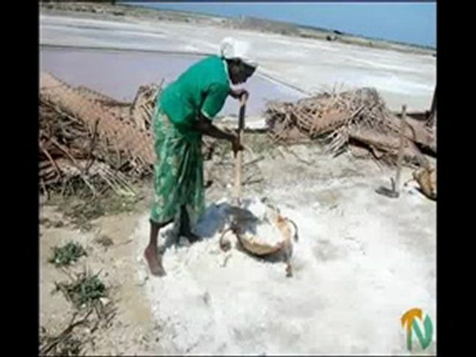 Under The Salt  Part 1 of 12 FREE Download