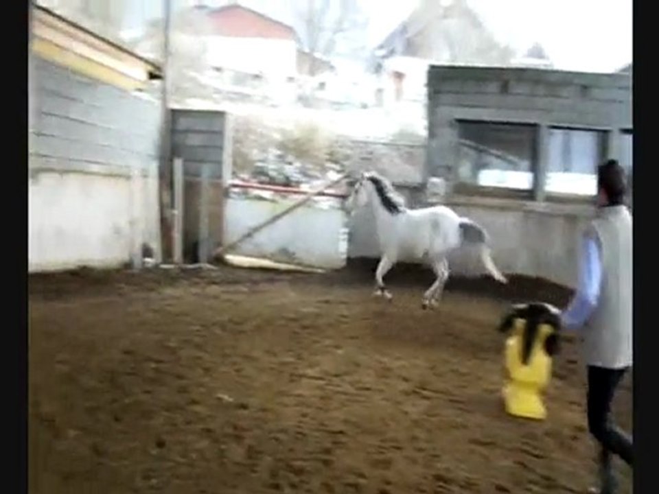 quaida saut en liberté