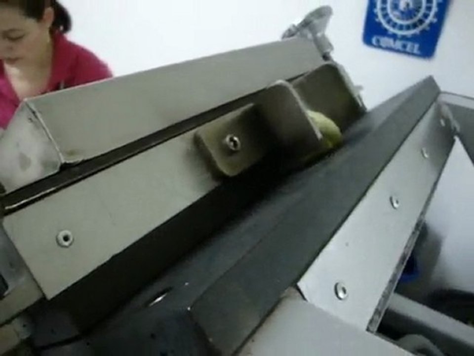 Tortilladora - Tortilla machine