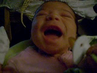 Ariane 8 jours de vie