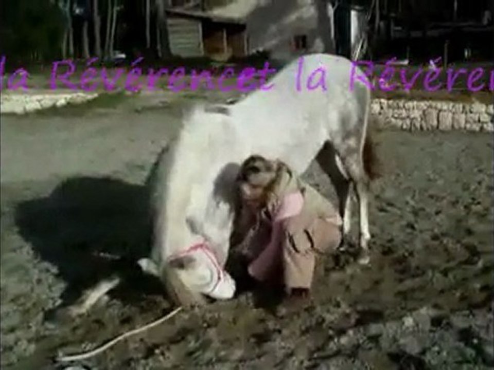 Facéties Equestres Part I