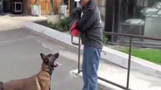Police dog training - Taking bites from your dog?