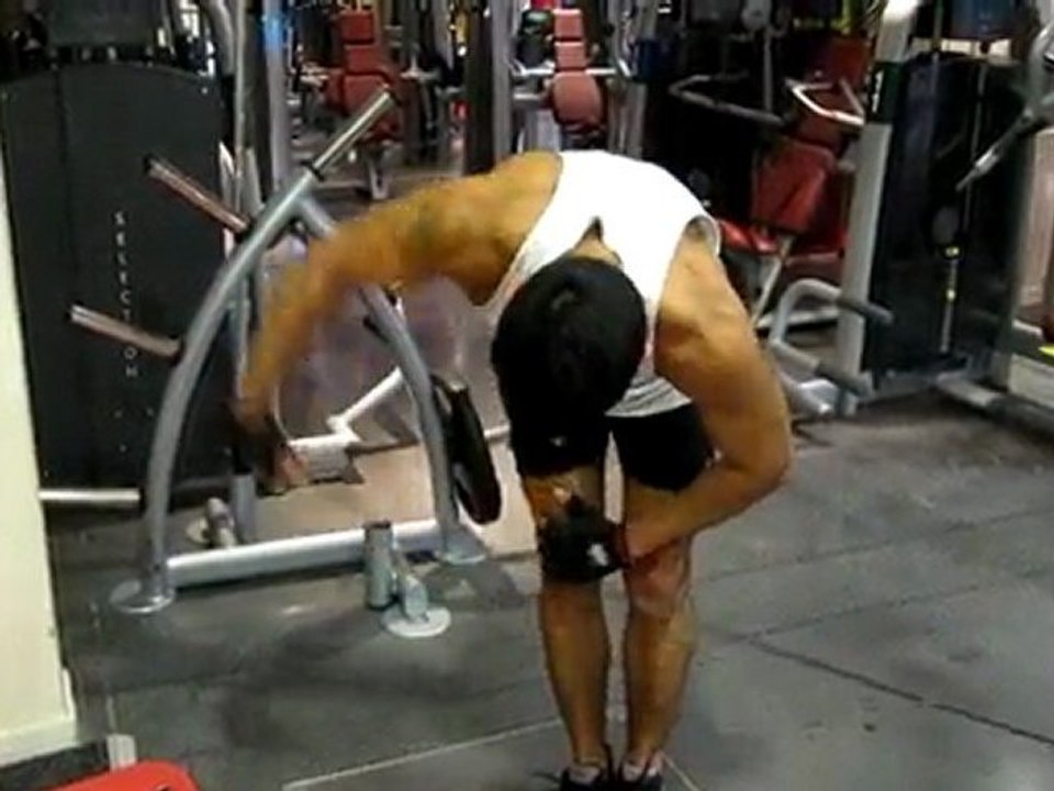 oiseau à un bras a la poulie JANV 2010