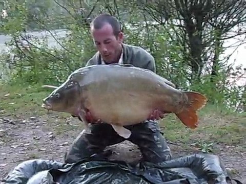 Carpe miroir 22kg fait aux Etangs Saint Jûles.