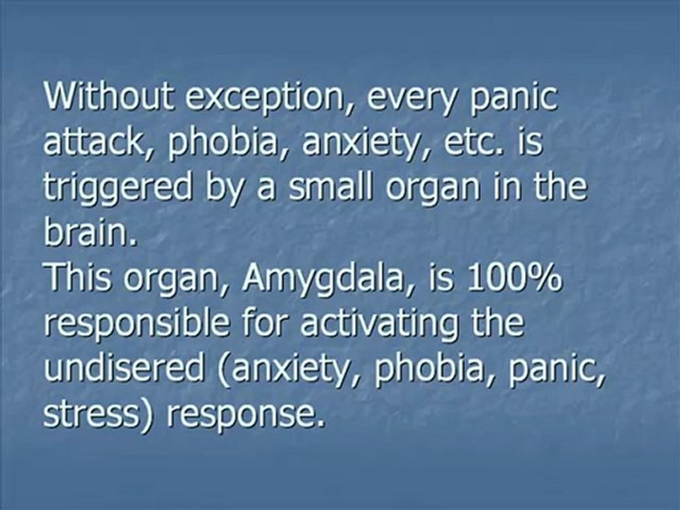 How to live without anxieties and panic disorders.