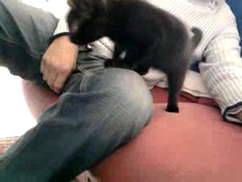 Kanaille ki ' jouue ! =)