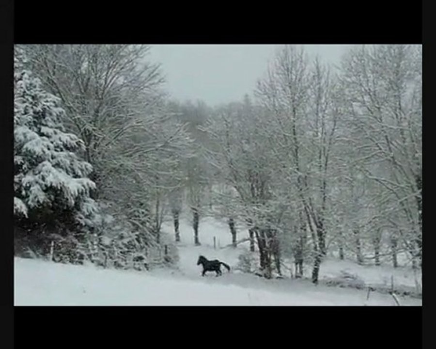 vidéo neige_0001