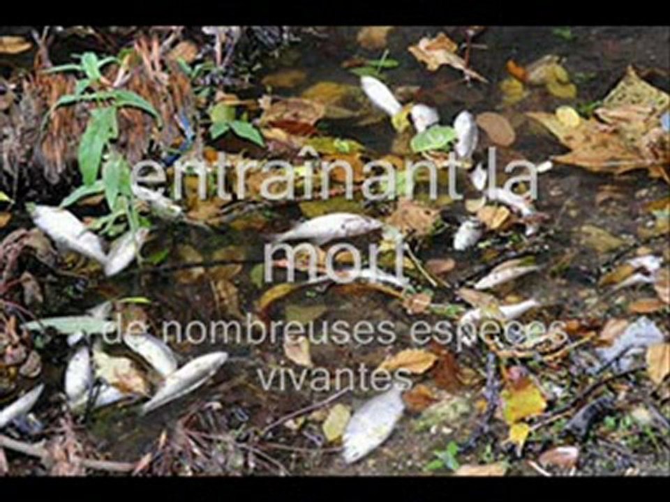 Pauvre planète