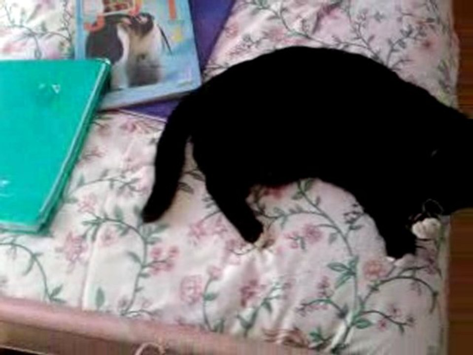 Vidéo0019