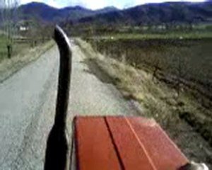 Tümosan 60 60 Gübre Taşıyo