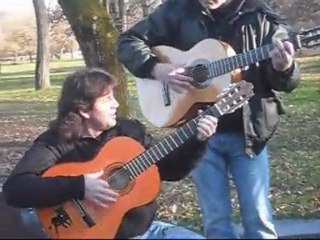 Oléééé Olééé les Toulousains ! (6)