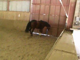 Essaie de Simbad , Saut en Liberté ♥