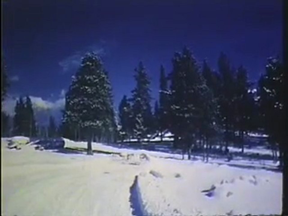 Mekas
