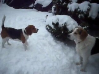 ulysse et danaé foufou