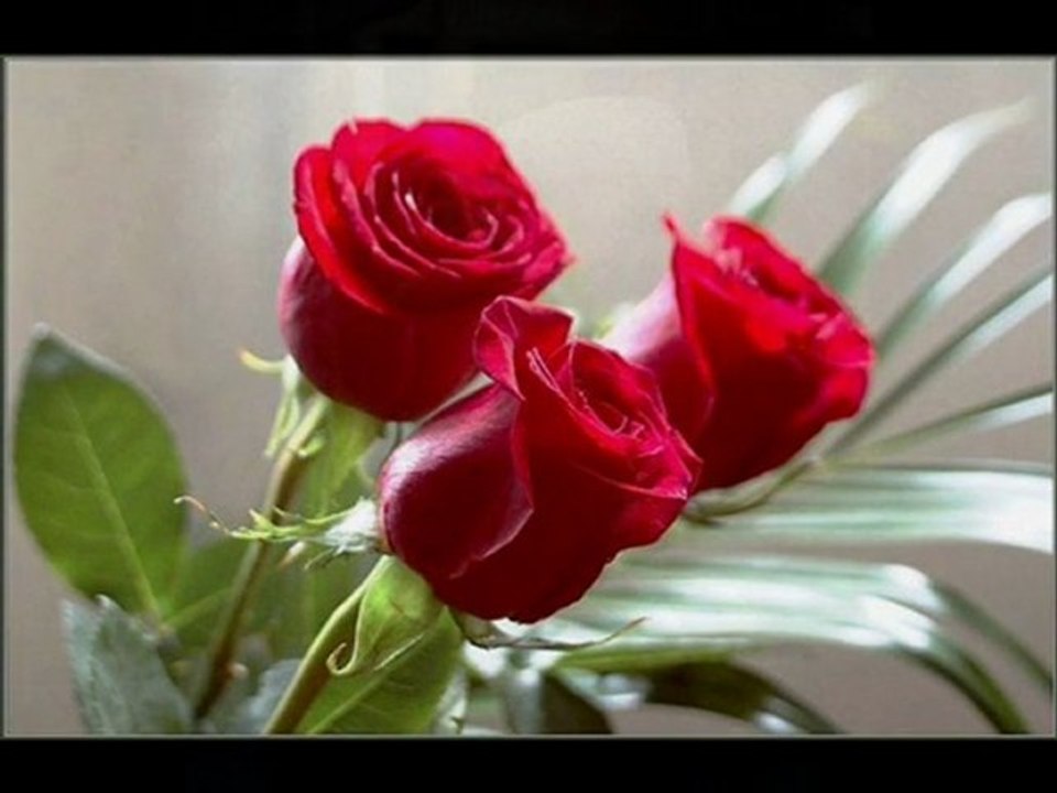 ey benim canım sultanım