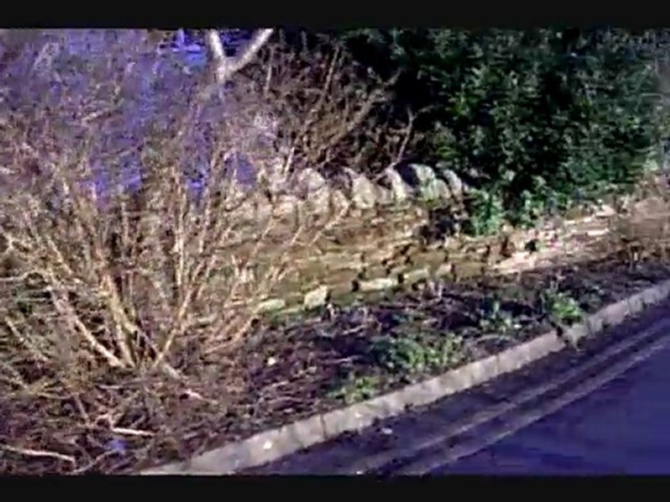 juste le temps d'une balade