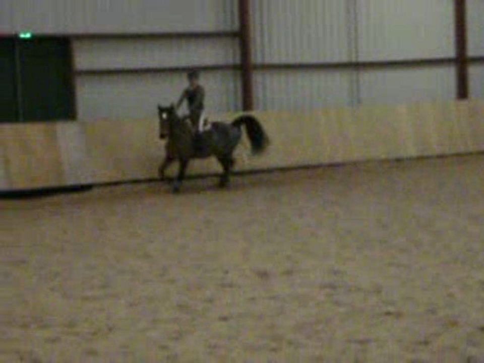 poupette puissance 0.95m janvier 2010