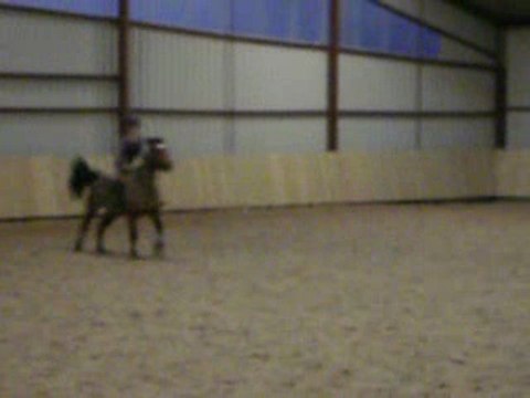 poupette puissance 0.85m janvier 2010