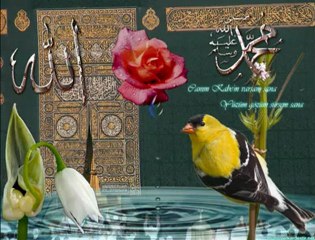 Taner Yüncüoğlu - Yağmur Gazeli