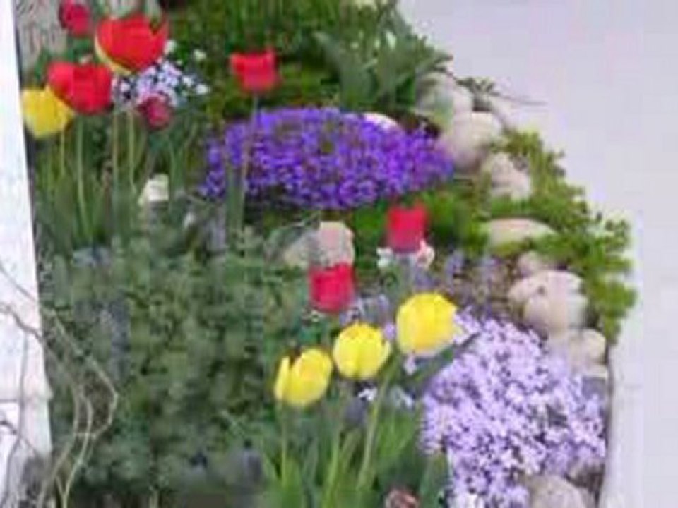 Townhome For Rent Close to Fort Collins