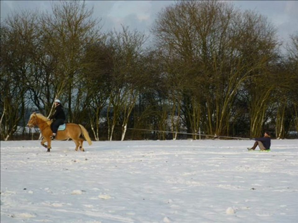 31 janvier 2010 dans la neige