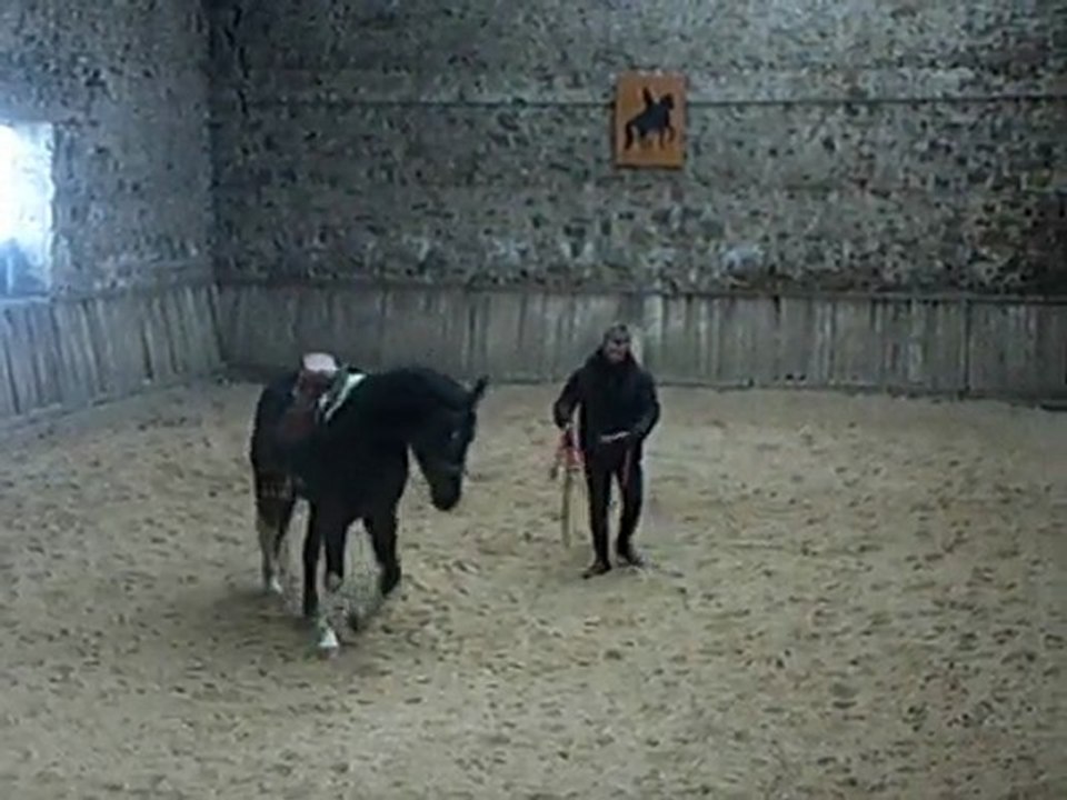 Débourrage Caddy chance - Paint Horse