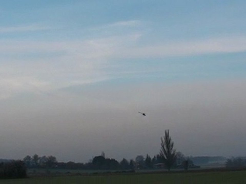 Trex 500  le 25.01.20010