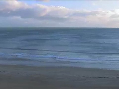Une baleine à la Baule! (Loire Atlantique)