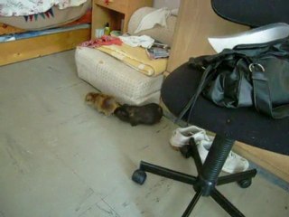 Bounty se fait éconduire pas Lilou